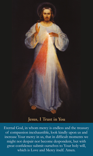 ***NEW*** Large Print Divine Mercy Prayer Card 